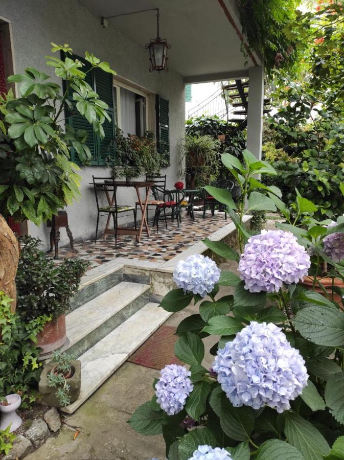 Casa Cambini Bed & Breakfast Marina di Massa Exterior photo
