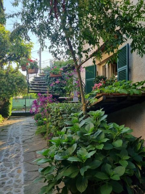 Casa Cambini Bed & Breakfast Marina di Massa Exterior photo